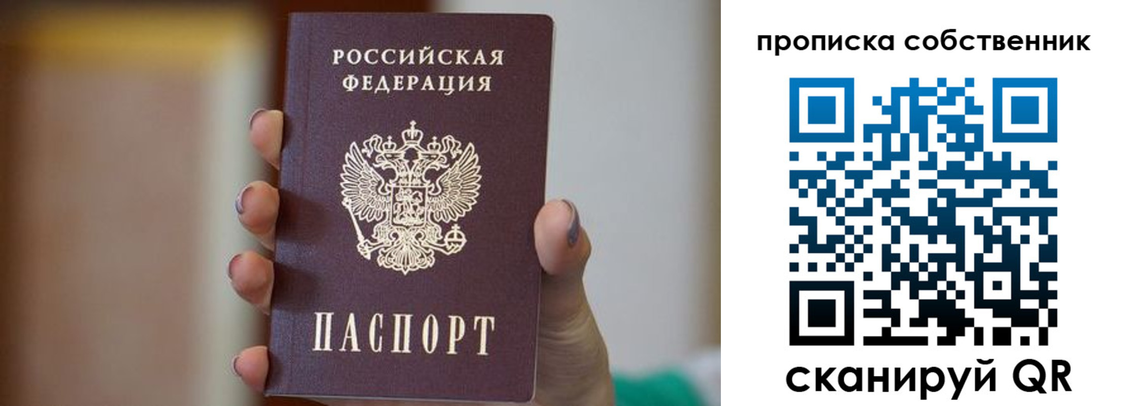 прописка поиск в Кашине